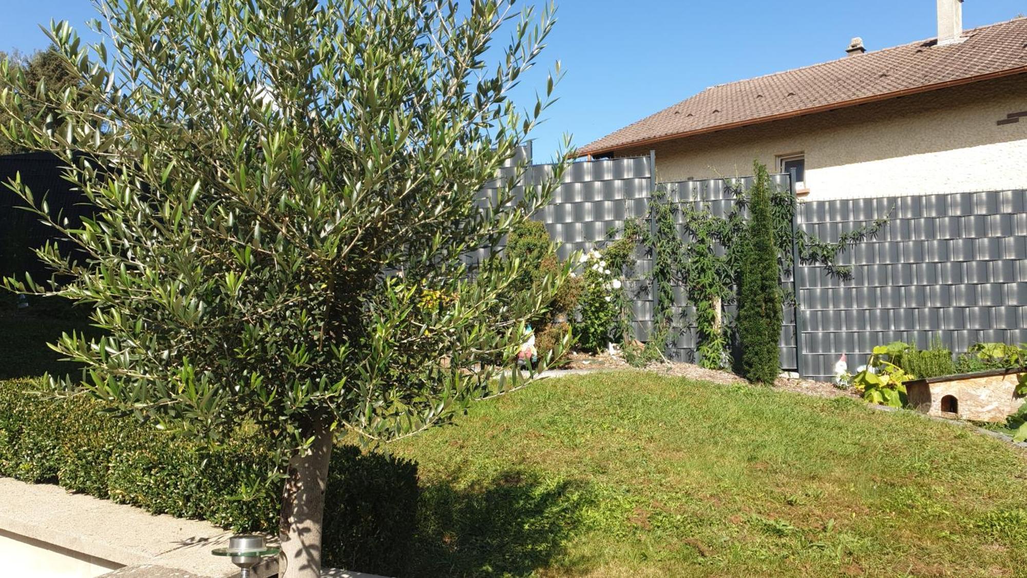 Le Gite Du Fort Bitche Exterior photo
